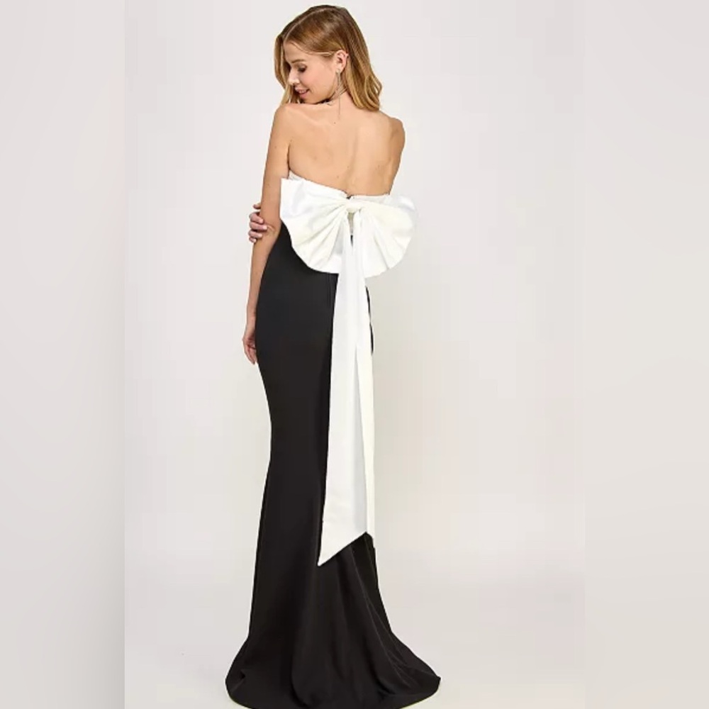 A long elegant dress with luxurious fabric, simplicity in black and white.